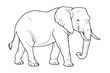 Elephant pencil drawing coloring book. Vector illustration