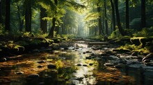 Sunlit Rays In Dense Green Forest - Suitable For Nature Documentaries, Wallpapers, Meditation Visuals, And Eco-friendly Campaigns