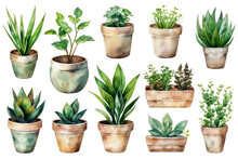 Plants In Pots On Transparent Background.