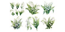 Watercolor Lily Of Valley Clipart For Graphic Resources