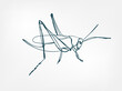 grasshopper vector line art animal wild life single one line hand drawn illustration isolated
