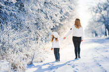 Family On Winter Walk. The Child Is Holding His Mother's Hand. A Fabulous Snowy Forest With Hoarfrost On The Trees.