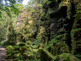 Canvas Print - Elbsandsteingebirge