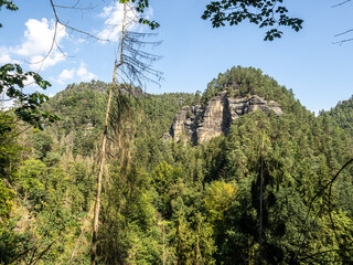 Wall Mural - Elbsandsteingebirge