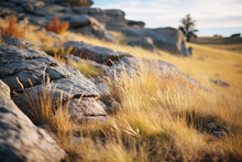 Rugged And Unique Beauty Of A Grassland Landscape Intermingled With Rocky Formations, Showcasing The Contrast Between Soft Grass And Hard Stone