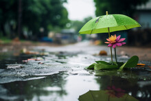 Essence Of A Rainy Season Waterlogged Landscapes, Overcast Skies, Mint Green Umbrella With Pink Lotus Blooming On Street, Feeling Of Renewal And Growth, 