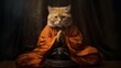 The cat is a Buddhist monk.