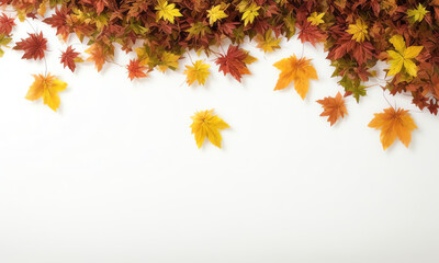 arranged autumn leaves in white background with copy space ai generated