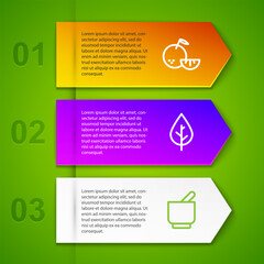 Poster - Set line Citrus fruit, Leaf, Mortar and pestle and Cup of tea leaf. Business infographic template. Vector