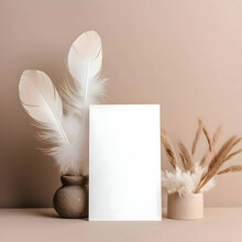 White Empty Card Against A Background Of Scattered Bird Feathers.