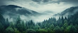 Nature panorama misty pine forest and hills