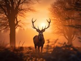 Fototapeta  - Majestic stag silhouette, antlers prominent against an amber sunset, gracefully navigating the woodland, showcasing autumn's wild beauty.