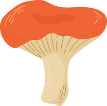 Russula Mushroom Vector Illustration. Edible Mushrooms In Forests