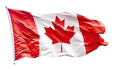 Wall Mural - canadian flag waving in the wind with white background 
