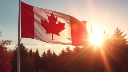 Wall Mural - canadian flag on the sunset