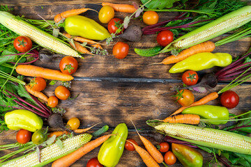 Sticker - fresh vegetables from the garden beds carrots and beets, tomatoes and cucumbers on an old wooden background