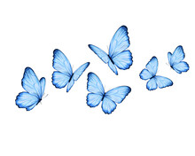 Set Of Blue Butterflies Positive Quote Motivational Etc Fashion Prints