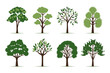 © Ruqqq - Set of tree vector in simple flat style isolated on white background