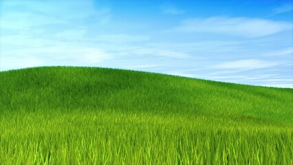 Wall Mural - 3D animation - Green meadow with tall grass gently moving in the wind and blue sky with moving white clouds