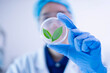 © Supapich - Female scientist working plant biology biotechnology research agriculture experiment laboratory test, hand holding growth eco organic nature green leaf botany herb medicine on petri dish scientific