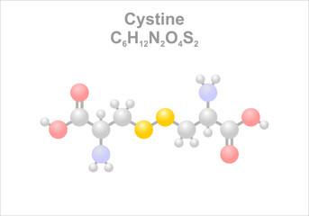 Wall Mural - Cystine. Simplified scheme of the molecule.