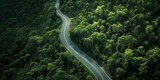 Fototapeta Do pokoju - Aerial photo of empty meandering road in between forest