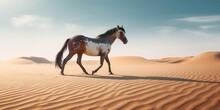 Side View Of Horse Walking On Sandy Beach Against Sky During Sunny Day