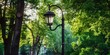 © BROTHER - Streetlight in city park against green trees, modern energy - efficient lamp in retro style