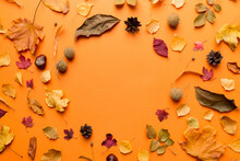 Autumn Composition Made Of Dried Leaves, Cones And Acorns On Table. Flat Lay, Top View