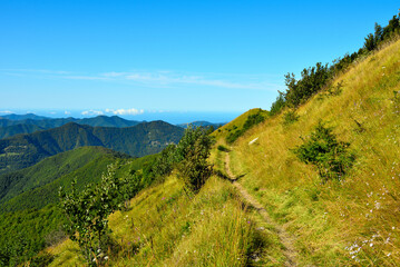 Sticker - panorama from the path to antola mountain liguria italy