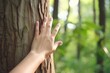 Human hand or young woman touching tree in the forest