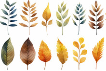 水彩調の植物のイラスト。北欧風の 葉っぱのイラスト。