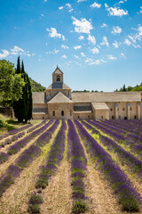 Wall Mural - Abbaye Notre-Dame-de-Sénanque