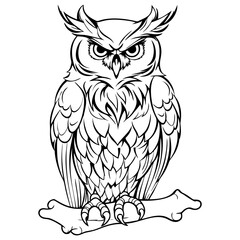 Wall Mural - owl pencil drawing coloring book. Vector illustration