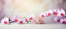 White And Pink Orchids Used To Create A Stunning Flower Arrangement