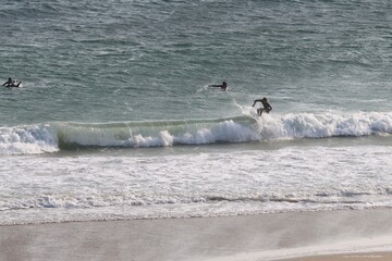 Canvas Print - surfing in Quiberon, France 