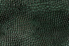 Seamless Pattern With Green Reptile Skin, Textured Lizard Scales.