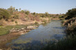 Afrikanischer Busch - Krügerpark - Sweni River / African Bush - Kruger Park - Sweni River /