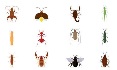 Canvas Print - Set of different colored insect icons Vector