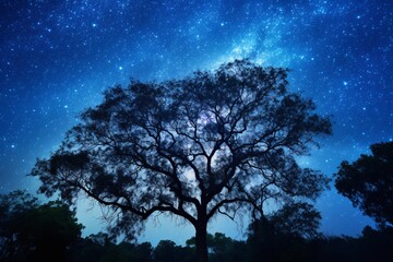 Wall Mural - The Milky Way painting the night sky, stars glittering like diamonds, an awe-inspiring view of the cosmos.