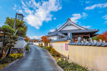 Wall Mural - Nakatsu, Japan - Nov 26 2022: Myoren-ji Temple situated a little south of the center of the Tera-machi district