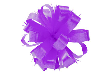 Wall Mural - purple gift bow ribbon isolated on transparent background