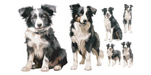 Watercolor Puppy Border Collie Clipart For Graphic Resources
