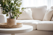 Close Up Of A Sofa, Coffee Table And Plants In A Minimalistic Living Room Staging