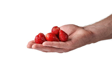 Wall Mural - Strawberries in a man's hand on a white background. Hand holding strawberry on white