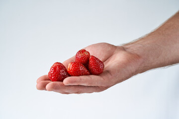 Wall Mural - Strawberries in a man's hand on a white background. Hand holding strawberry on white