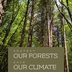 Wall Mural - Composite of protect our forests and save our climate text and tall trees growing in woodland