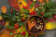 autumn still life, red and yellow leaves of different trees and acorns