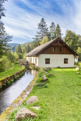 Wall Mural - Canal flowing to the water mill of Srni in the Sumava mountains, Czech Republic