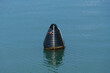 Eine schwarze, geriffelte Boje auf dem Meer bei ruhiger See (nautic sea buoy - calm sea)